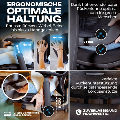 VALKENSTOL M6 – Chaise de Bureau Ergonomique en Maille – Grande Taille – Jusqu'à 150 kg